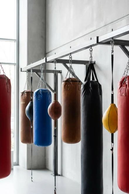Différentes balles de boxe de plusieurs poids et couleurs