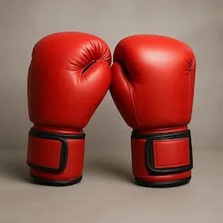 Boxing gloves